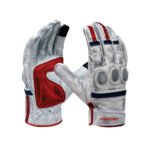 Motorbike Gloves